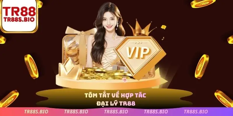 Tóm tắt về hợp tác đại lý TR88